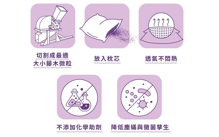 甜枕---天然枕芯容易孳生塵螨, 細菌, 黴菌???